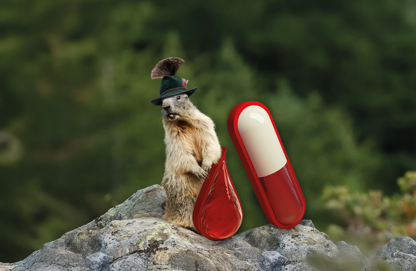 Murmeltier mit A-Icon